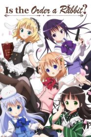 Is the Order a Rabbit?