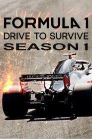 Formula 1: Drive to Survive: Season 1